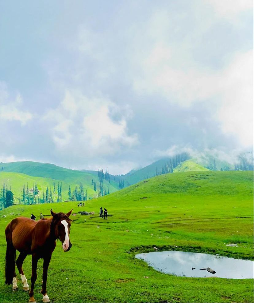 Shogran-Siri paye Meadows